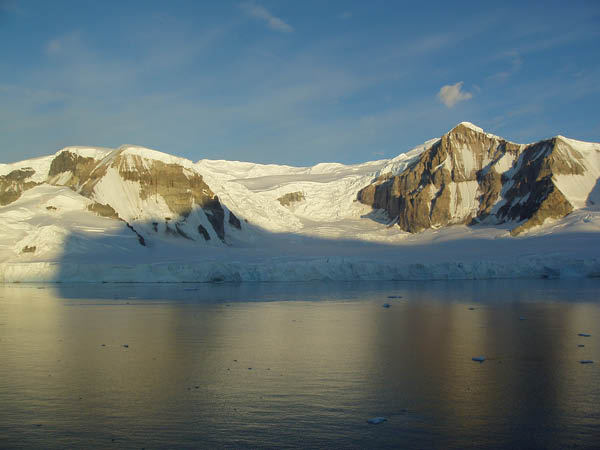 2006-02-Cuverville-Island_06