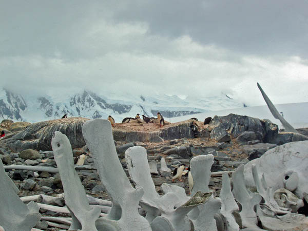 2006-02-Port-Lockroy_07
