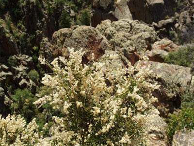 2003-06-black-canyon-np_011