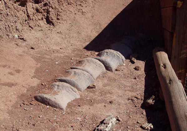 2003-06-dinosaur-hill_02