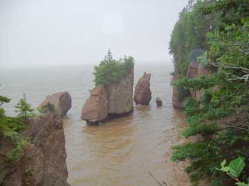 Hopewell Rocks at High Tide