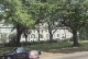 new_orleans_trolley_009