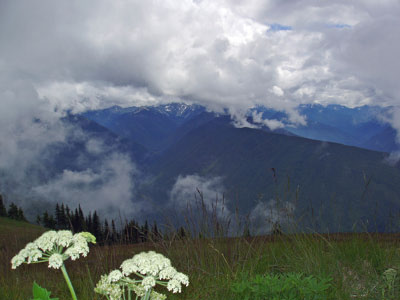 Mount Olympus???