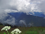 olympic-np-wa-2005-07_01