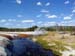 yellowstone-thermals_031